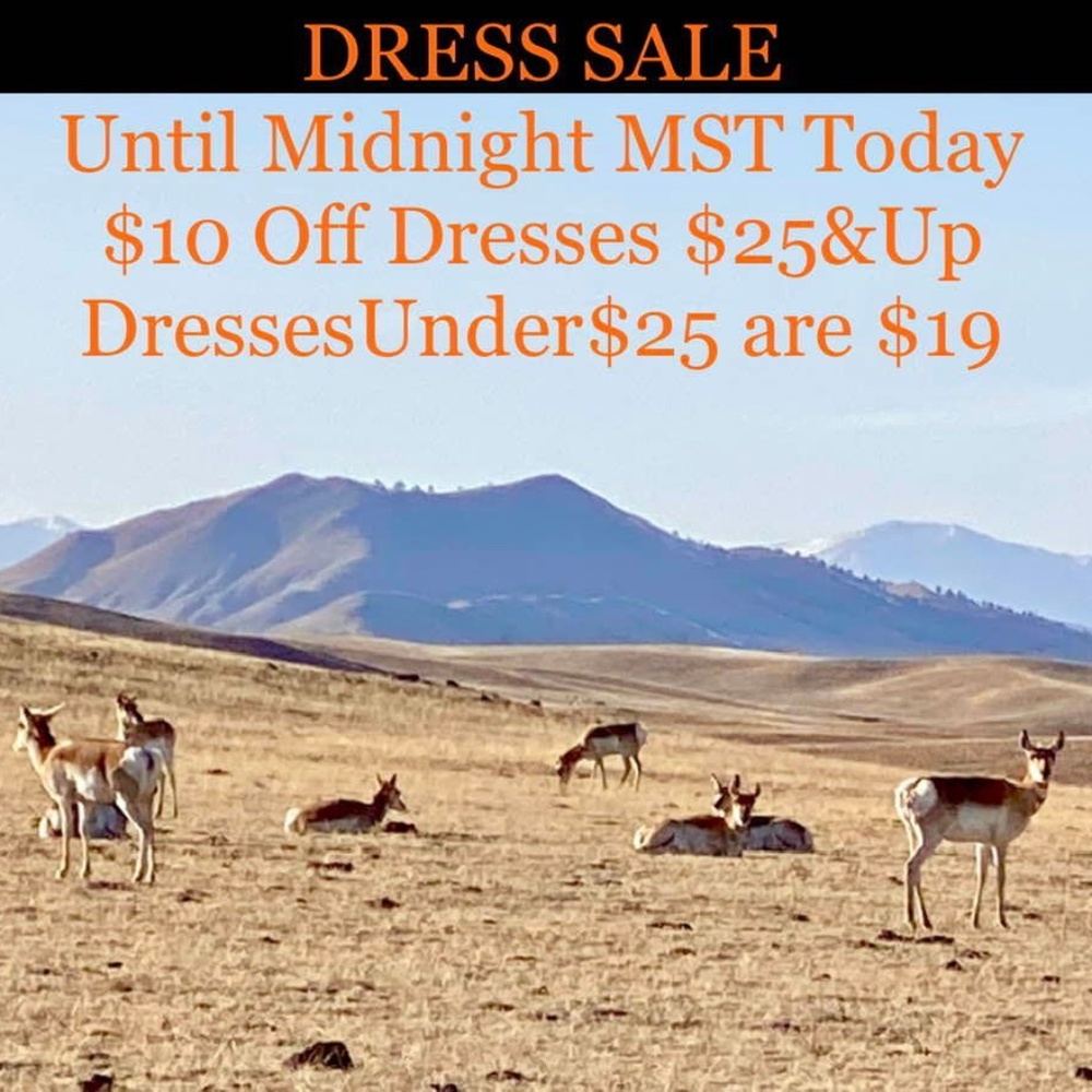 FOR WED APR 27TH | MANY NEW WITH TAG ~ BETTER BRAND DRESSES & SKIRTS